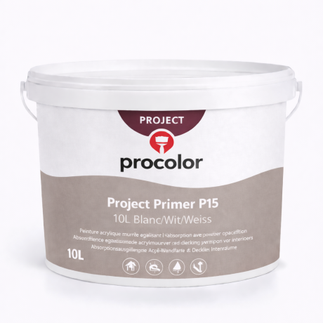 Project Primer P15